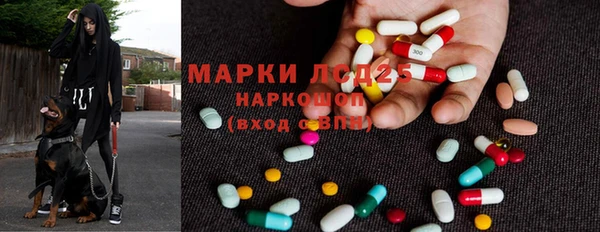 стаф Кукмор